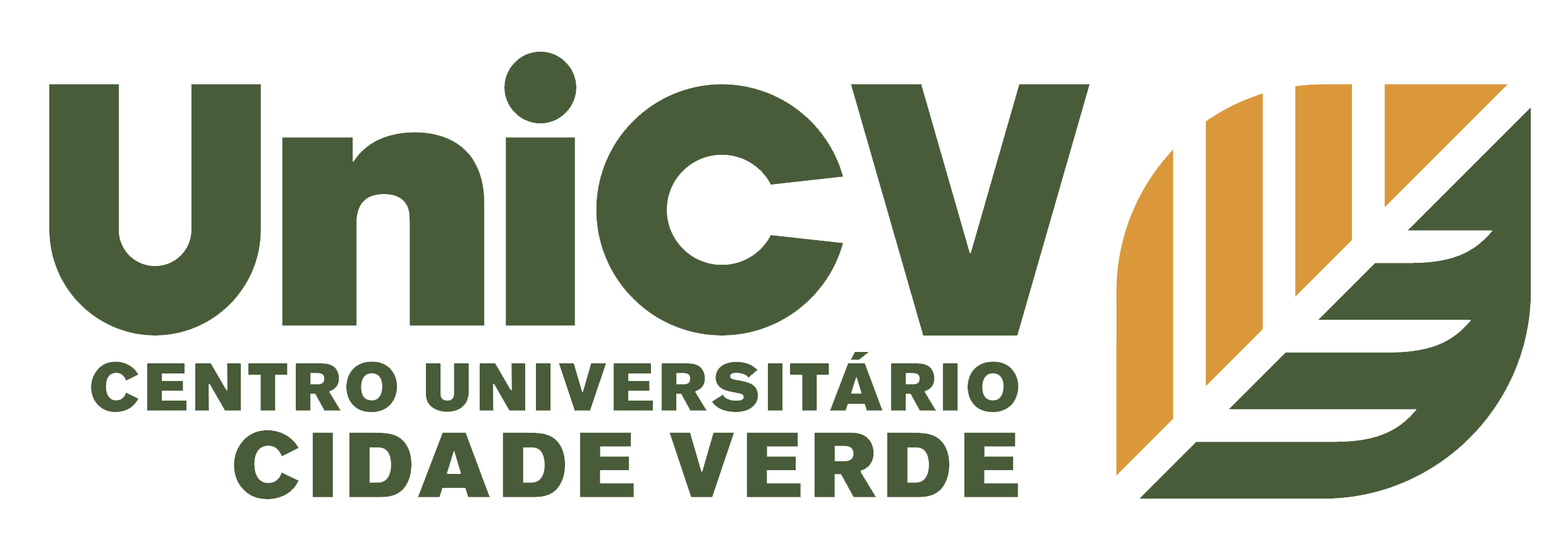 E Commerce Unicv